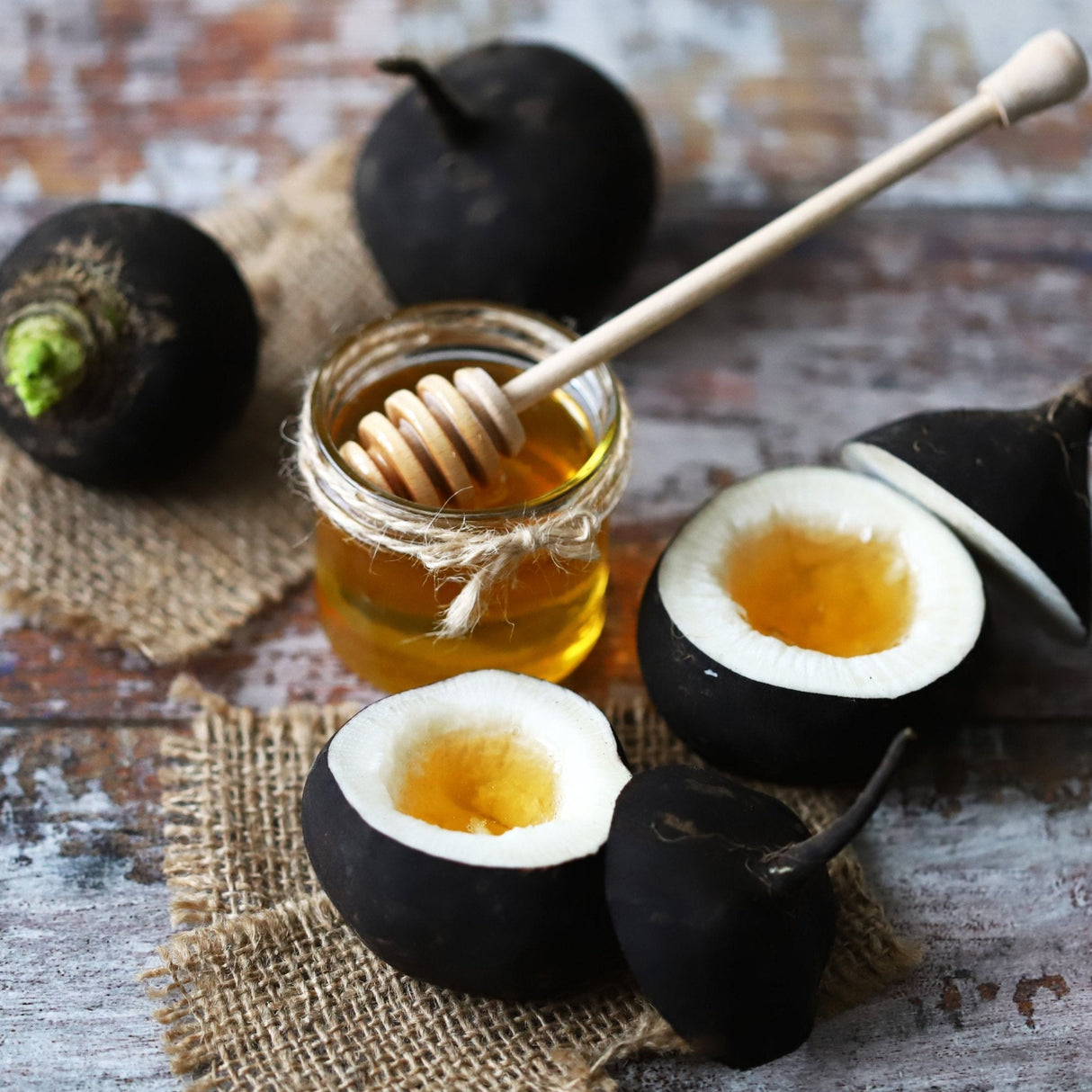 Radish Seeds - Black Spanish - Alliance of Native Seedkeepers - Vegetable Seeds