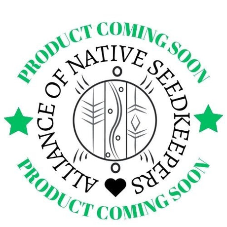 Shiso Seeds - Purple (Perilla) - Alliance of Native Seedkeepers -