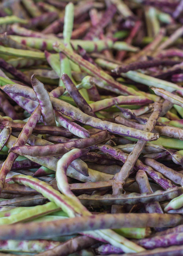 Mississippi Purple Hull cowpeas seeds for planting
