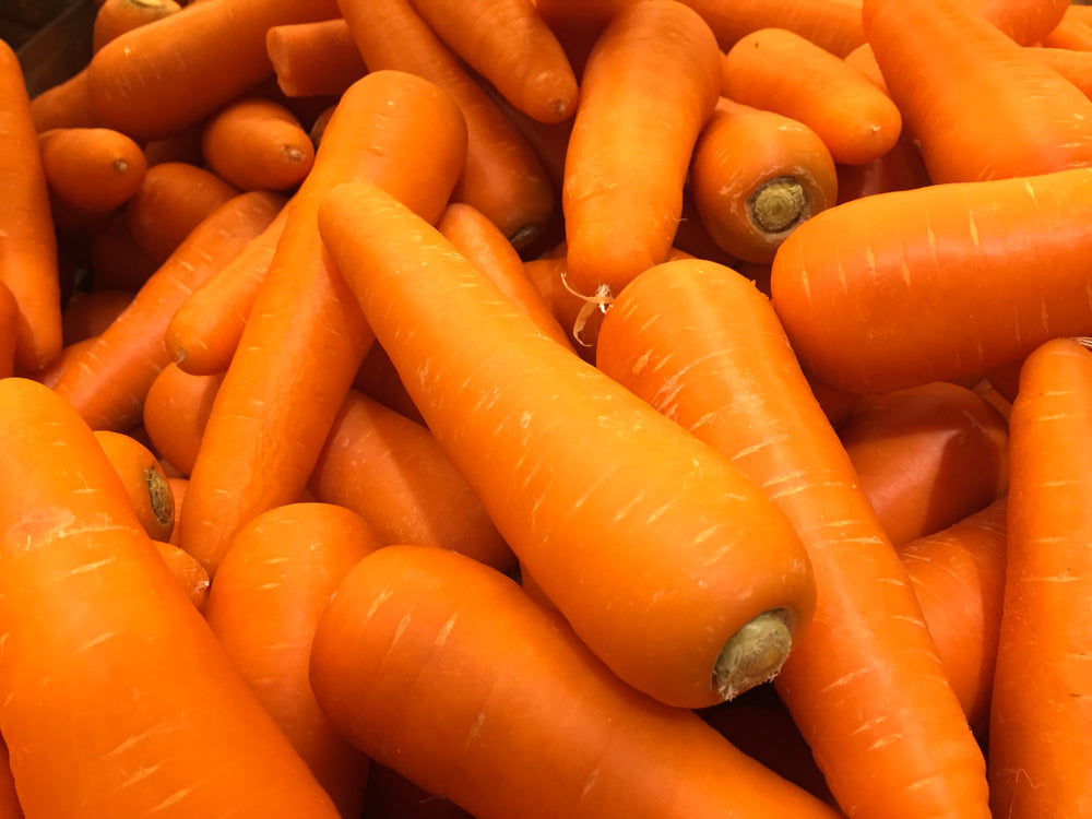 Close-up of fresh Carrot Seeds and Autumn King Flakkee carrots ready for planting in a garden