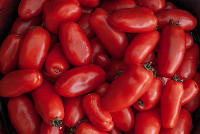 Tomato Seeds - Indeterminate - San Marzano