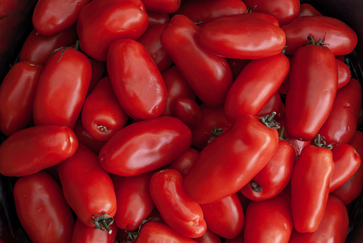 San Marzano