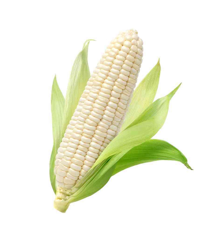 Stowell's Evergreen Corn Seeds