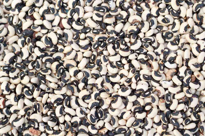 Phenomenal Cowpea