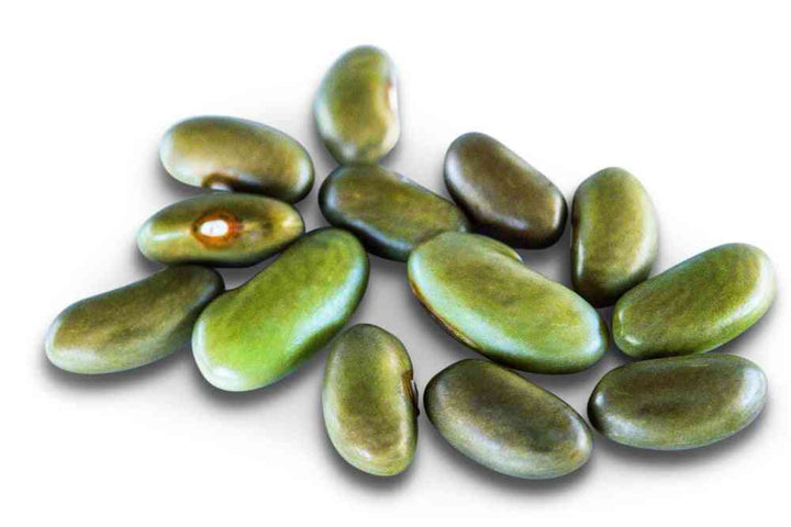 Green Mbombo Bean Seeds