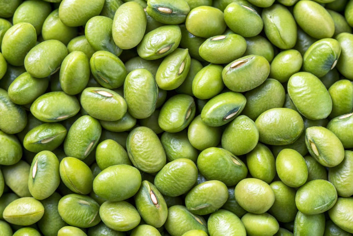 Mappe Green Mung Bean