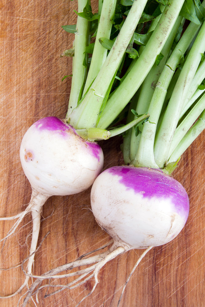 Turnip Seeds - Purple Top White Globe Turnip