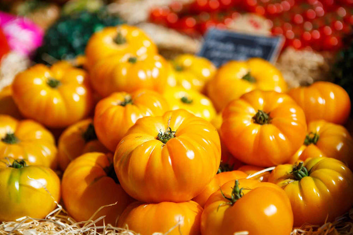 Kentucky Beefsteak Tomato Seeds