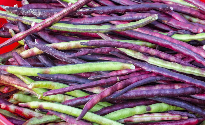 Pinkeye Purple Hull BVR Cowpea