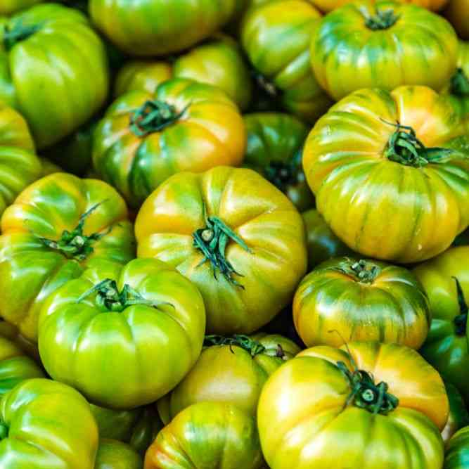 Aunt Ruby's German Green Beefsteak Tomato Seeds