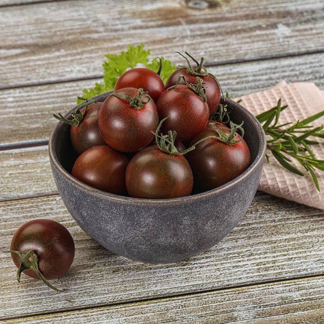 Tomato Seeds - Indeterminate - Black Cherry - Alliance of Native Seedkeepers - Vegetable Seeds