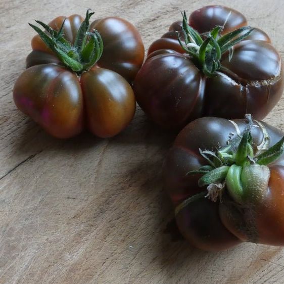 Tomato Seeds - Indeterminate - Brandywine Black - Alliance of Native Seedkeepers - Vegetable Seeds