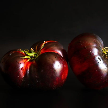 Tomato Seeds - Indeterminate - Brandywine Black - Alliance of Native Seedkeepers - Vegetable Seeds