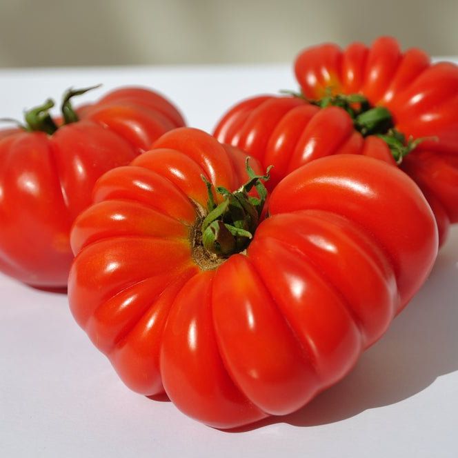 Tomato Seeds - Indeterminate - Costoluto Genovese Standard - Alliance of Native Seedkeepers - Vegetable Seeds