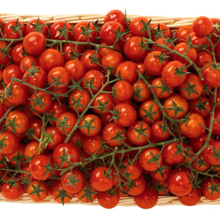 Tomato Seeds - Indeterminate - Fox Cherry - Alliance of Native Seedkeepers - Vegetable Seeds