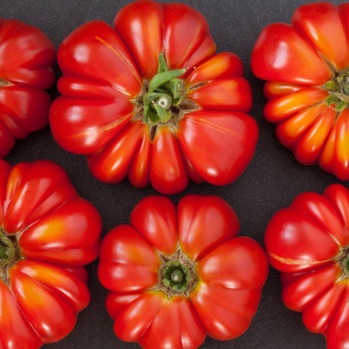 Tomato Seeds - Indeterminate - German Johnson Beefsteak - Alliance of Native Seedkeepers - Vegetable Seeds
