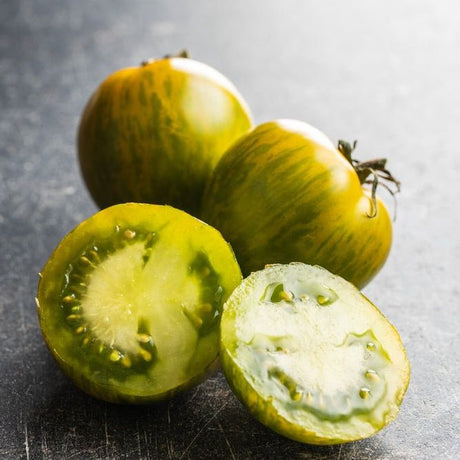 Tomato Seeds - Indeterminate - Green Zebra Standard - Alliance of Native Seedkeepers - Vegetable Seeds