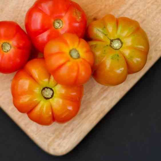Hillbilly Beefsteak Regular Leaf Tomato Seeds