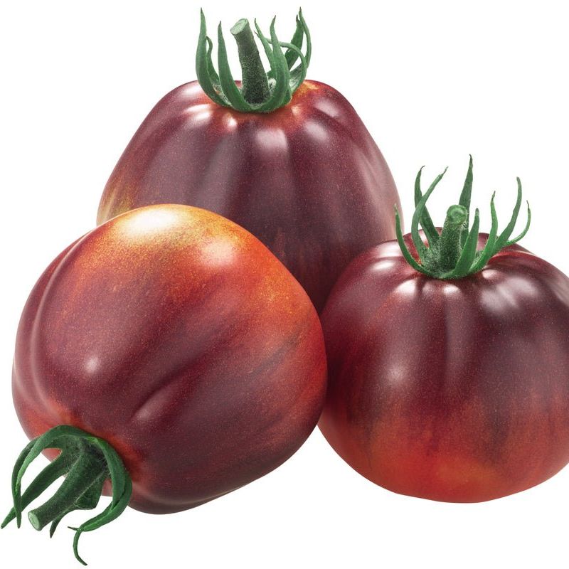 Tomato Seeds - Indeterminate - Japanese Black Trifele Slicing - Alliance of Native Seedkeepers - Vegetable Seeds
