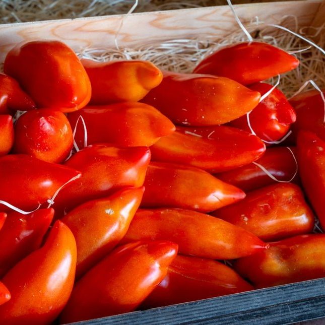 Tomato Seeds - Indeterminate - Jersey Devil - Alliance of Native Seedkeepers - Vegetable Seeds