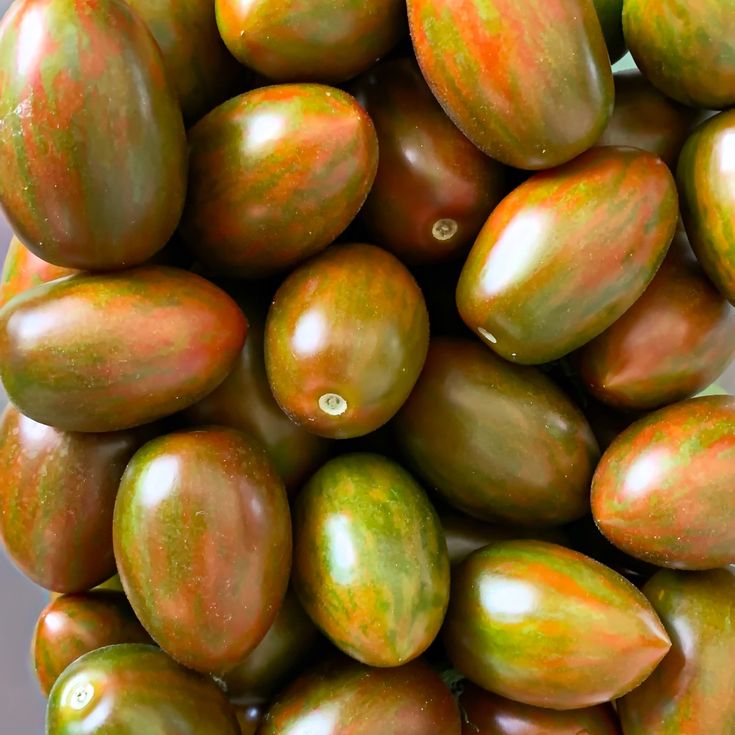 Tomato Seeds - Indeterminate - Lucky Tiger Standard - Alliance of Native Seedkeepers - Vegetable Seeds