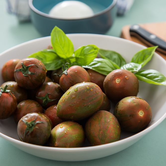 Tomato Seeds - Indeterminate - Lucky Tiger Standard - Alliance of Native Seedkeepers - Vegetable Seeds