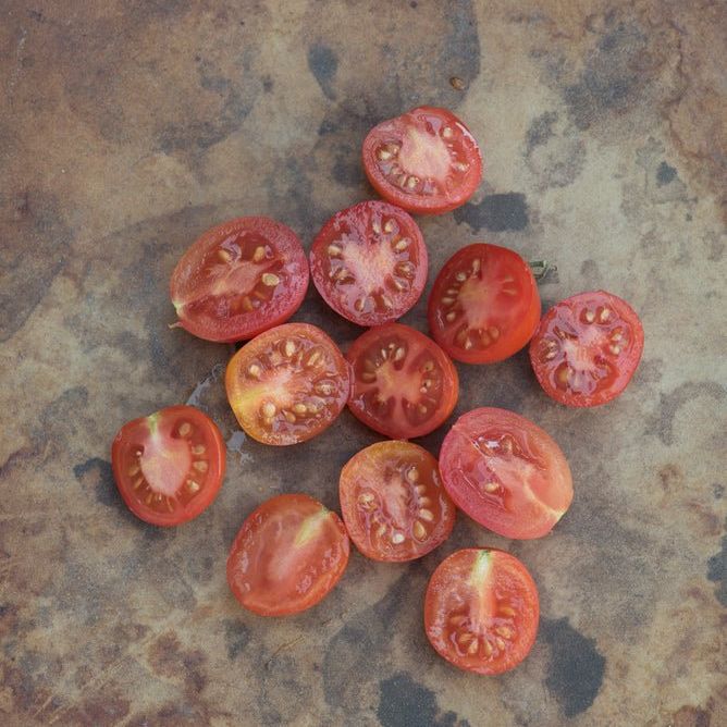 Tomato Seeds - Indeterminate - Matt's Wild Cherry - Alliance of Native Seedkeepers - Vegetable Seeds