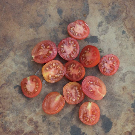 Tomato Seeds - Indeterminate - Matt's Wild Cherry - Alliance of Native Seedkeepers - Vegetable Seeds