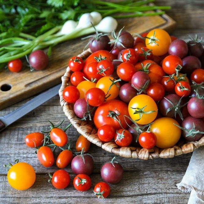 Tomato Seeds - Indeterminate - Rainbow Cherry Mix - Alliance of Native Seedkeepers - Vegetable Seeds
