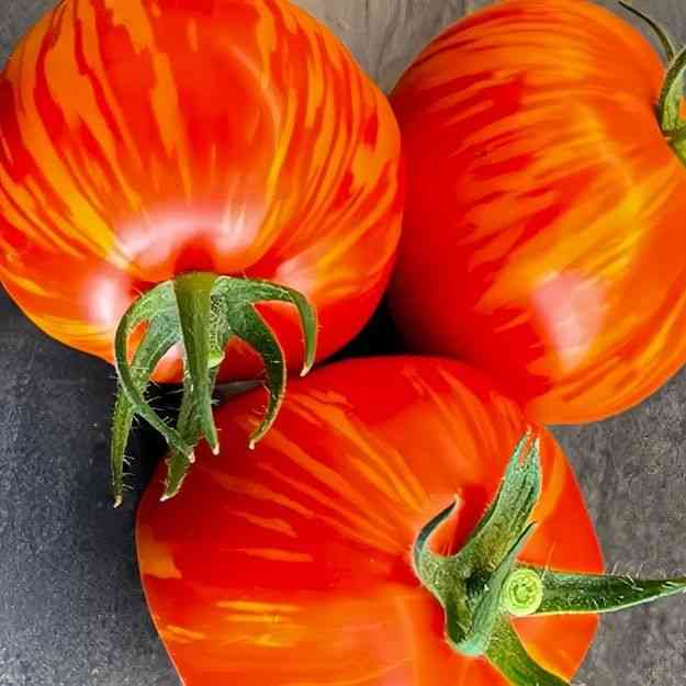 Red Zebra Tomato Seeds