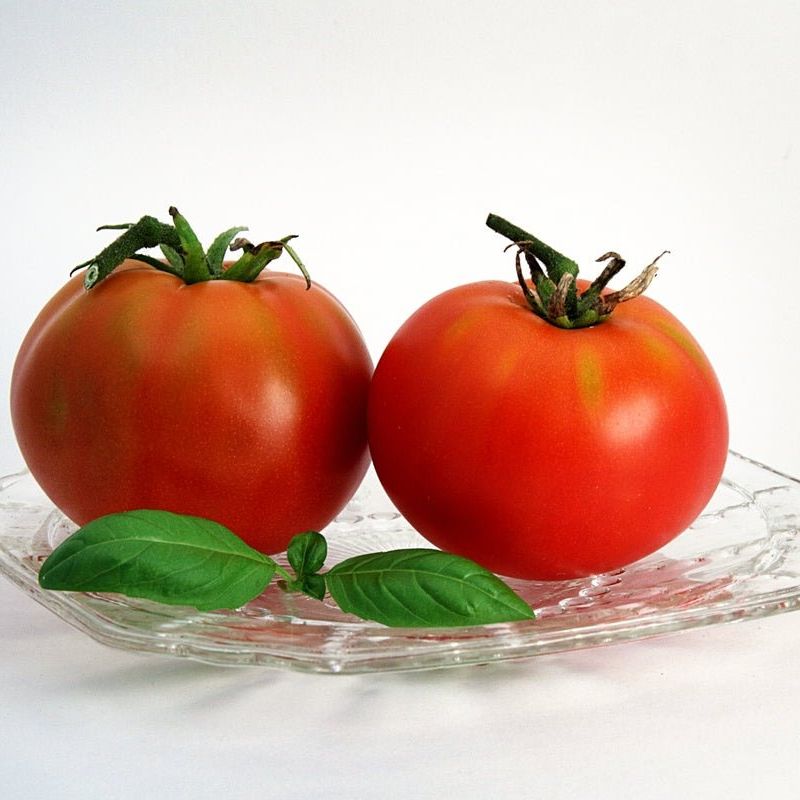 Tomato Seeds - Indeterminate - Rutgers Tomato Slicing - Alliance of Native Seedkeepers - Vegetable Seeds