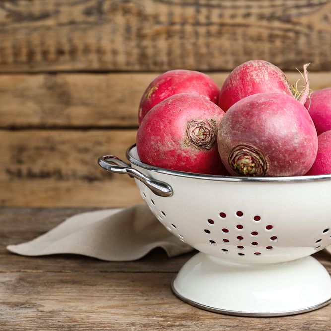 Turnip Seeds - Hidabeni - Alliance of Native Seedkeepers - Vegetable Seeds