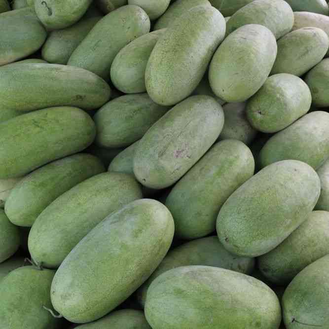 Charleston Gray Watermelon Seeds