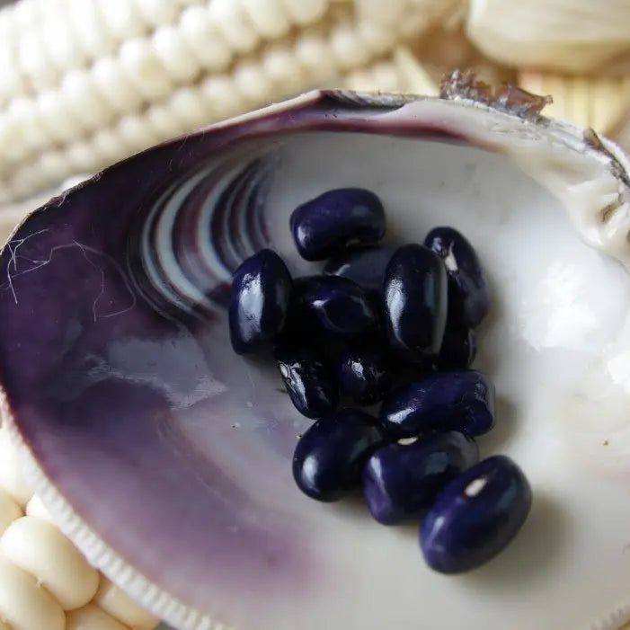 Gray Bean Seeds - Pole - Cherokee Trail of Tears Beans Alliance Of Native Seedkeepers Vegetable Seeds