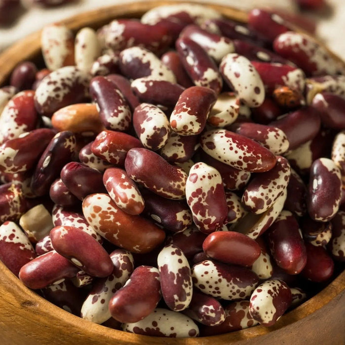 Bean Seeds - Jacob's Cattle - Alliance of Native Seedkeepers - Beans