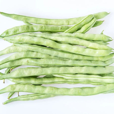 Bean Seeds - Pole - Kentucky Wonder - Alliance of Native Seedkeepers - Vegetable Seeds