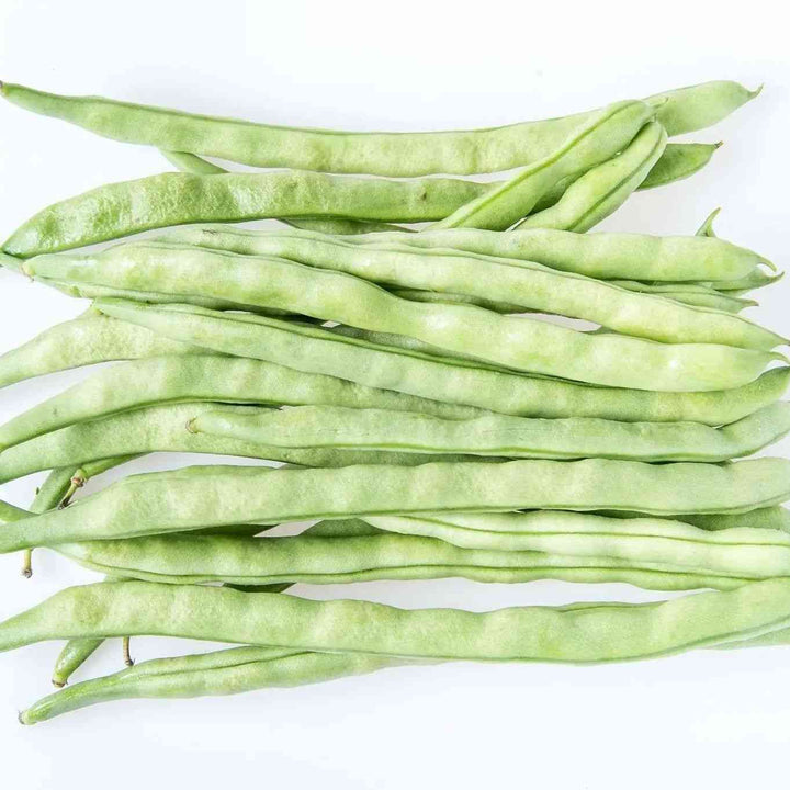 Kentucky Wonder Pole Bean