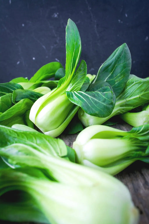Cabbage Seeds - Bok Choy White Stemmed - Alliance of Native Seedkeepers - 1. All Vegetables