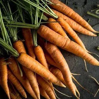 Carrot Seeds - Scarlet Nantes - Alliance of Native Seedkeepers - Carrots