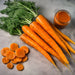 Carrot Seeds - Tendersweet - Alliance of Native Seedkeepers -