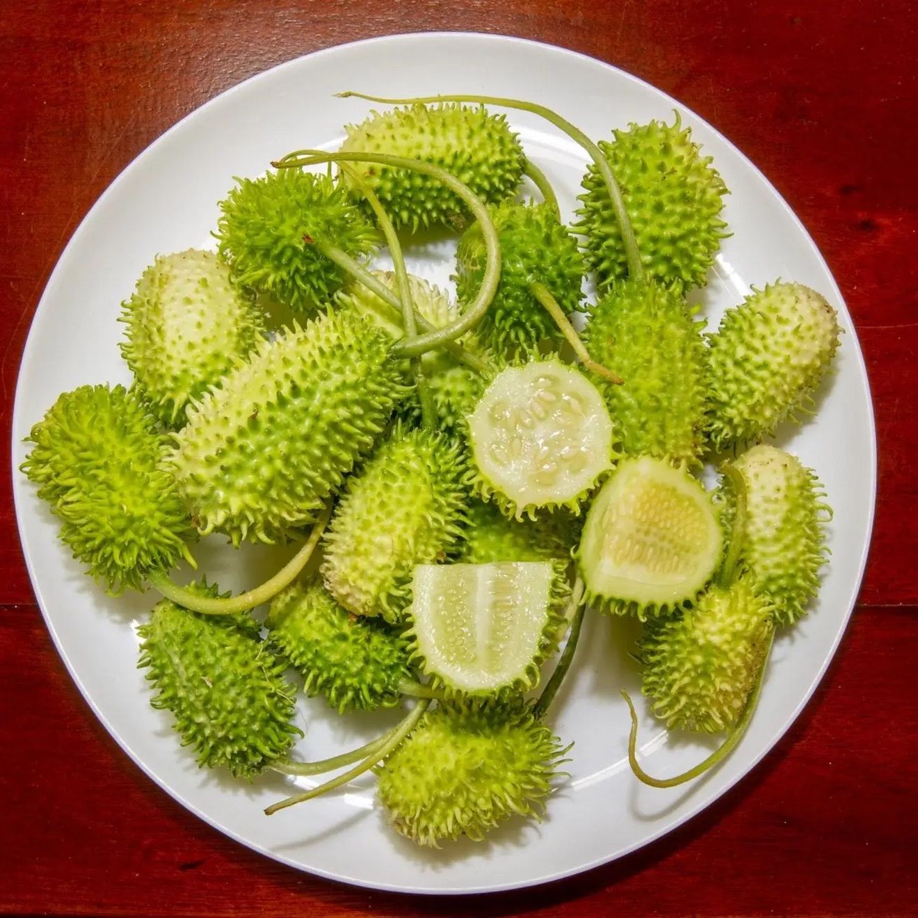 Cucumber Seeds - Vining - Jamaican Burr Gherkin - Alliance of Native Seedkeepers - Vegetable Seeds