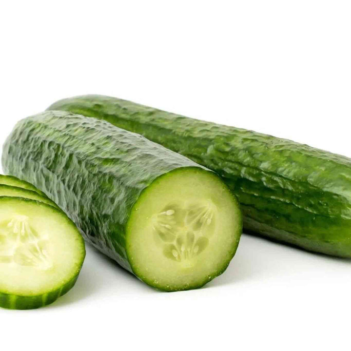 Cucumber Seeds - Vining - Marketmore 76 Cucumber