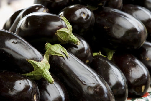 Eggplant Seeds - Black Beauty - Alliance of Native Seedkeepers - Eggplant
