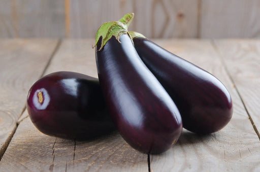 Eggplant Seeds - Florida Market - Alliance of Native Seedkeepers - Eggplant