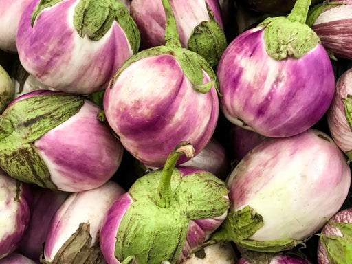 Eggplant Seeds - Rosa Bianca - Alliance of Native Seedkeepers - Eggplant