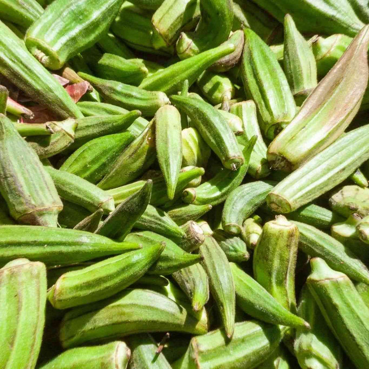 Clemson Spineless Okra Seeds