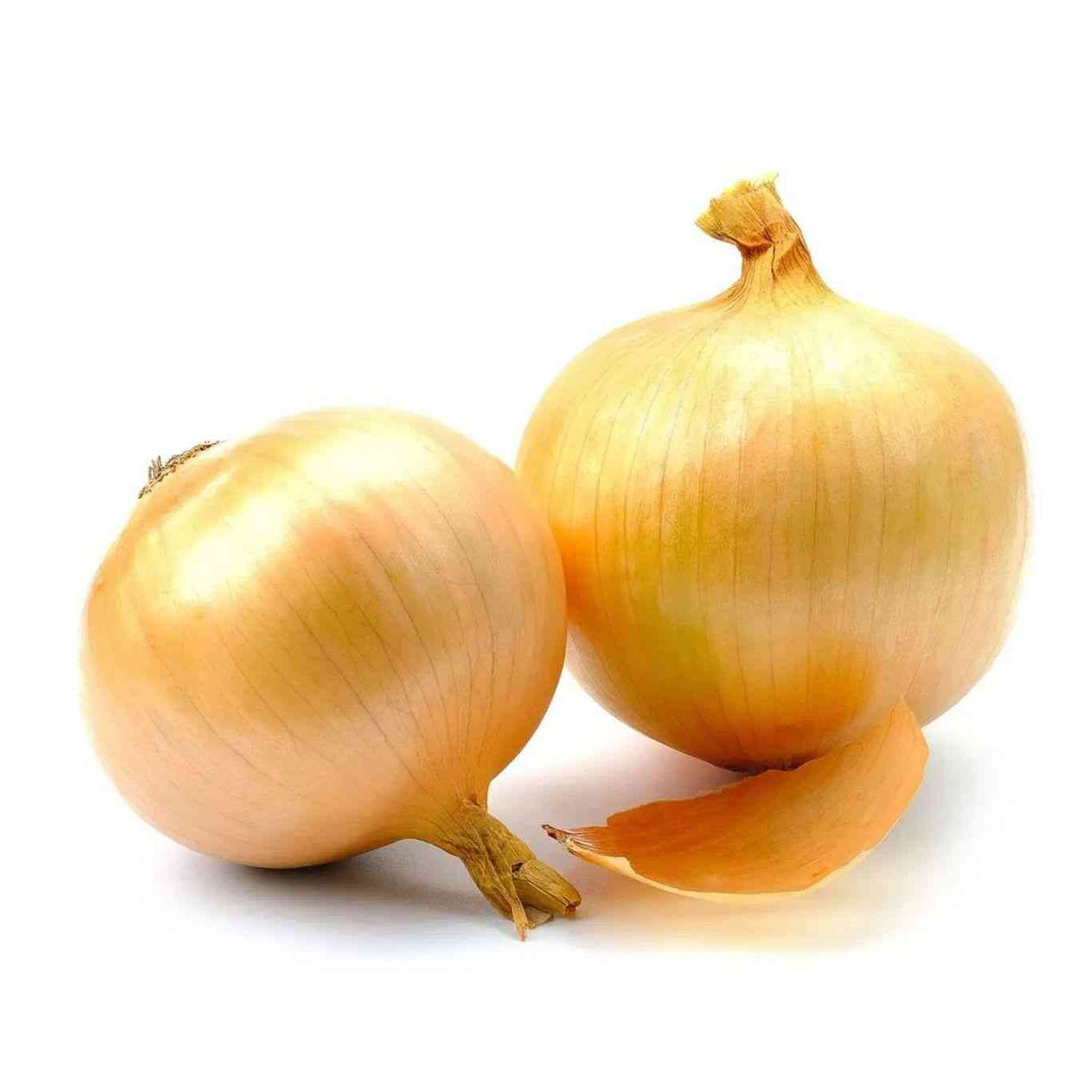 Sweet Utah yellow onion showcasing fresh, organic produce ideal for culinary and nutritional needs.