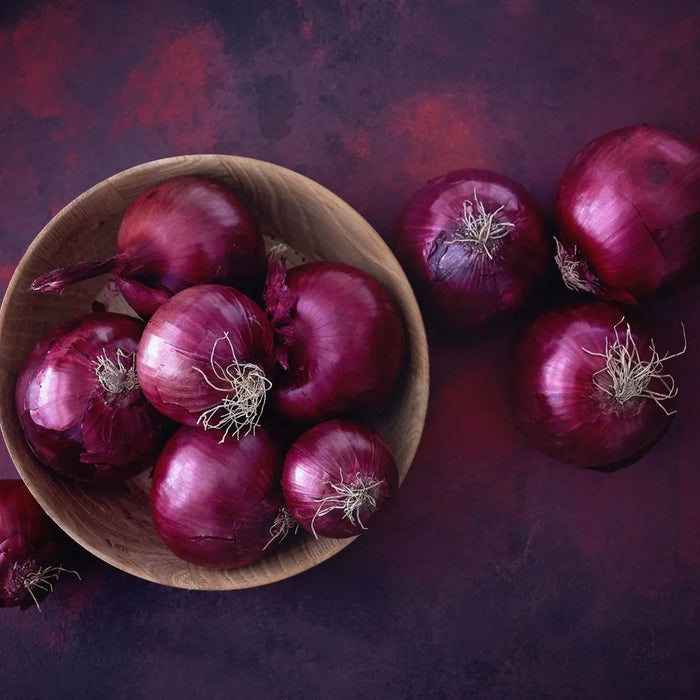 Onion Seeds - Red Danvers - Alliance of Native Seedkeepers - Onion