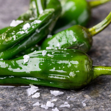 Pepper Seeds - Hot - Pimiento De Padron - Alliance of Native Seedkeepers - Vegetable Seeds