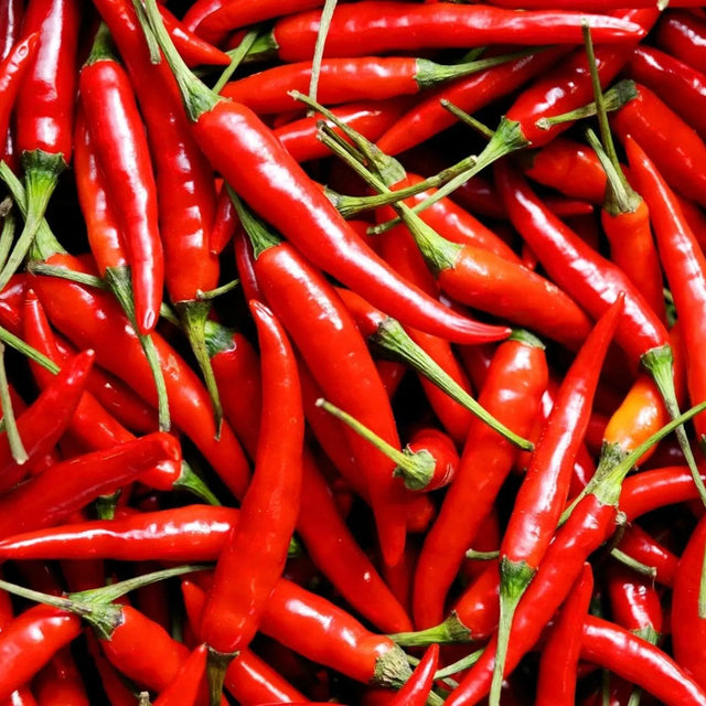 Pepper Seeds - Hot - Thai - Alliance of Native Seedkeepers - Vegetable Seeds